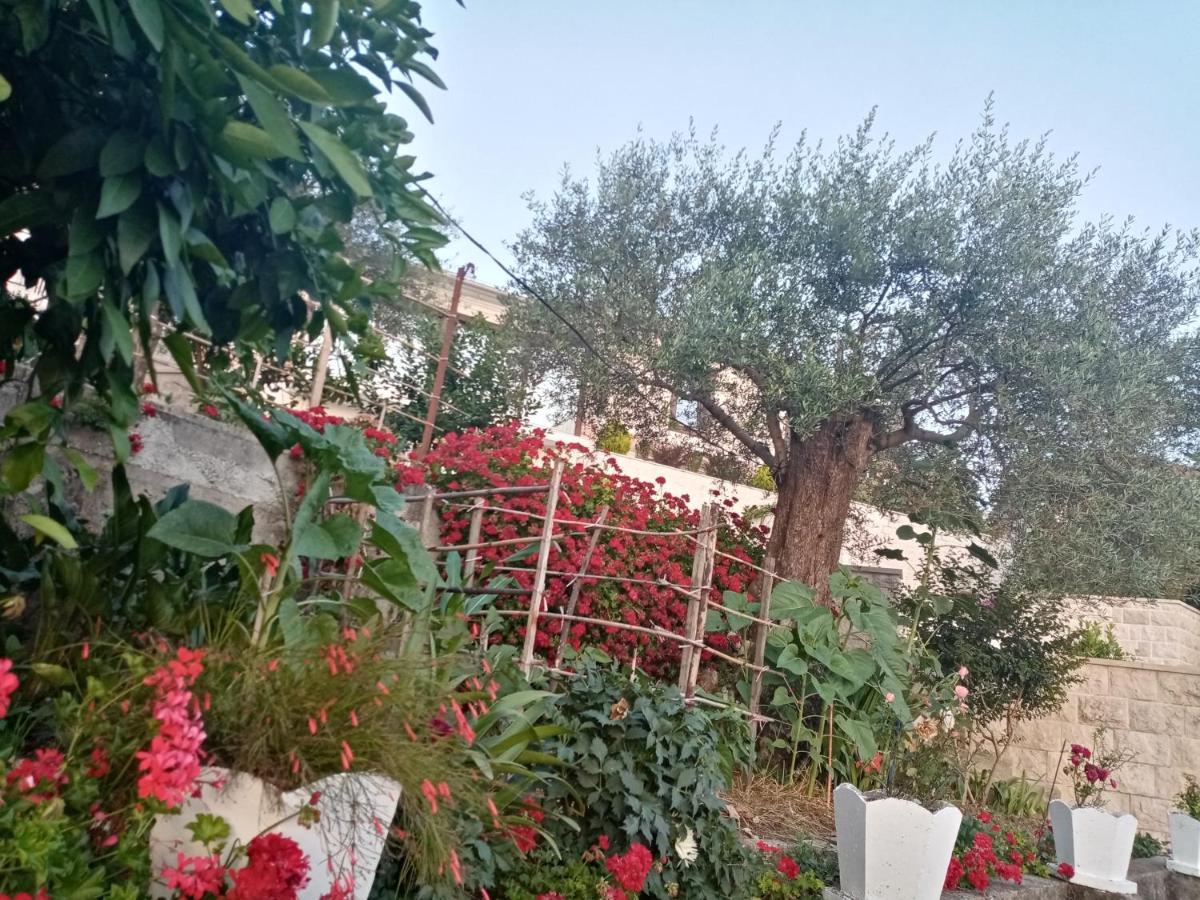 Apartmani Bosco تيفات المظهر الخارجي الصورة