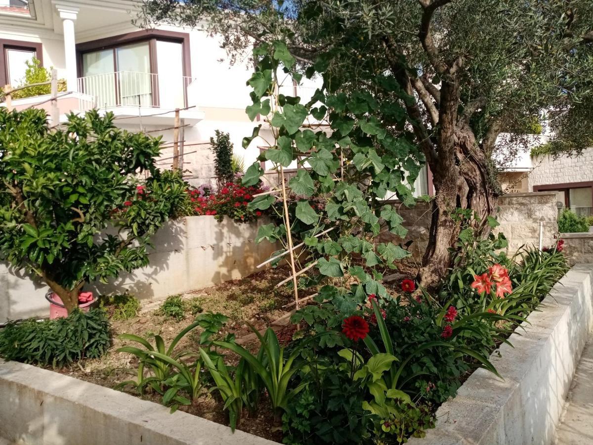 Apartmani Bosco تيفات المظهر الخارجي الصورة