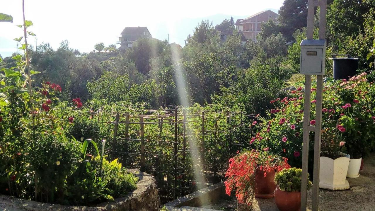 Apartmani Bosco تيفات المظهر الخارجي الصورة