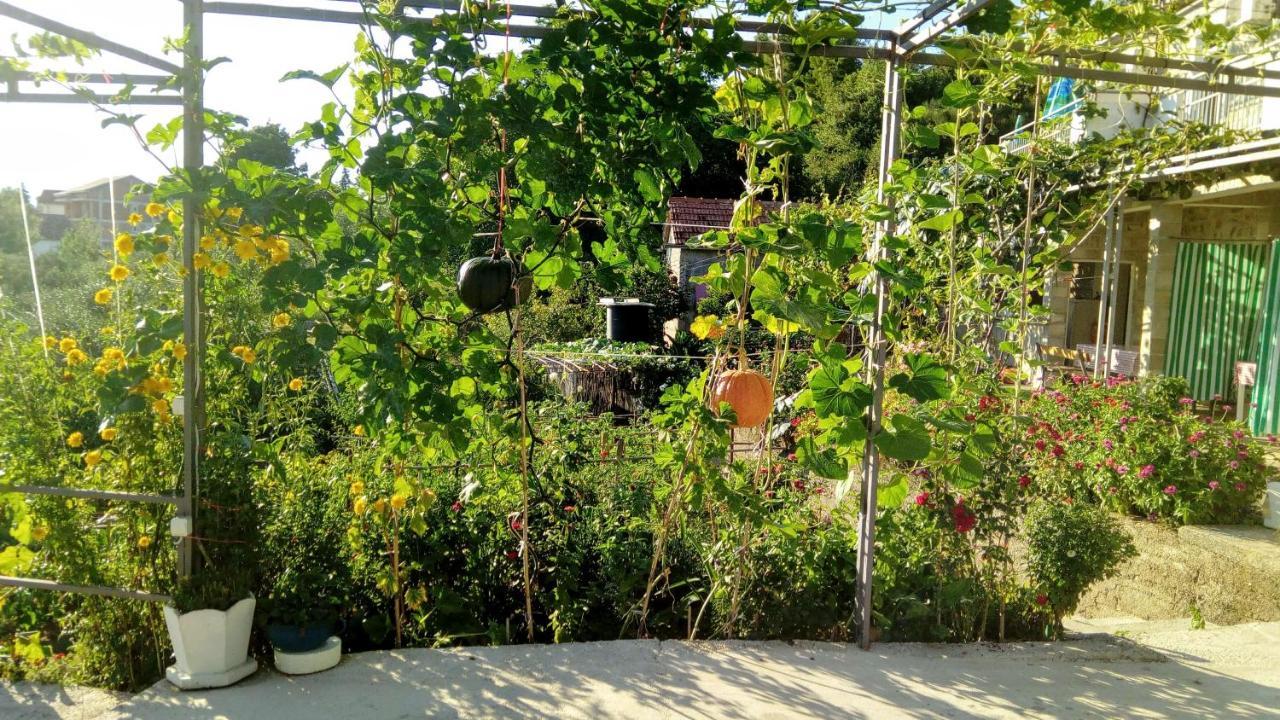 Apartmani Bosco تيفات المظهر الخارجي الصورة