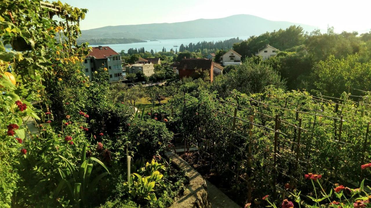 Apartmani Bosco تيفات المظهر الخارجي الصورة