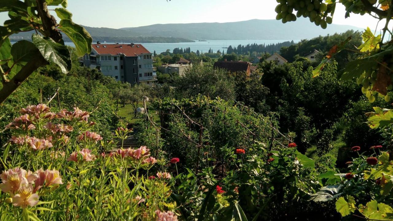 Apartmani Bosco تيفات المظهر الخارجي الصورة