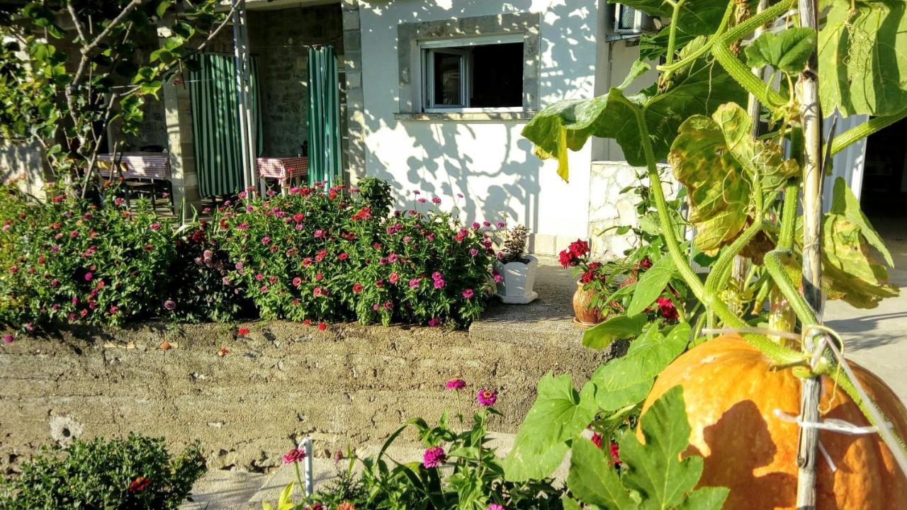 Apartmani Bosco تيفات المظهر الخارجي الصورة