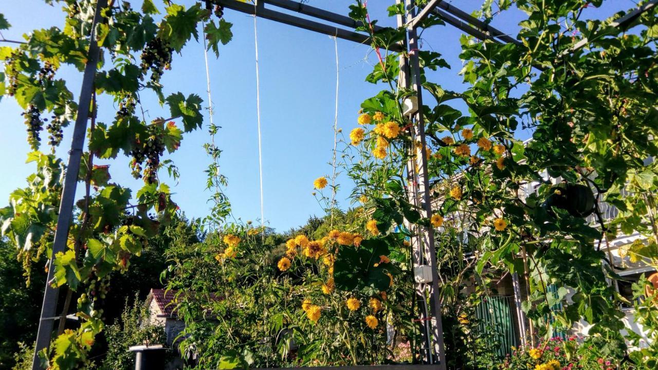 Apartmani Bosco تيفات المظهر الخارجي الصورة