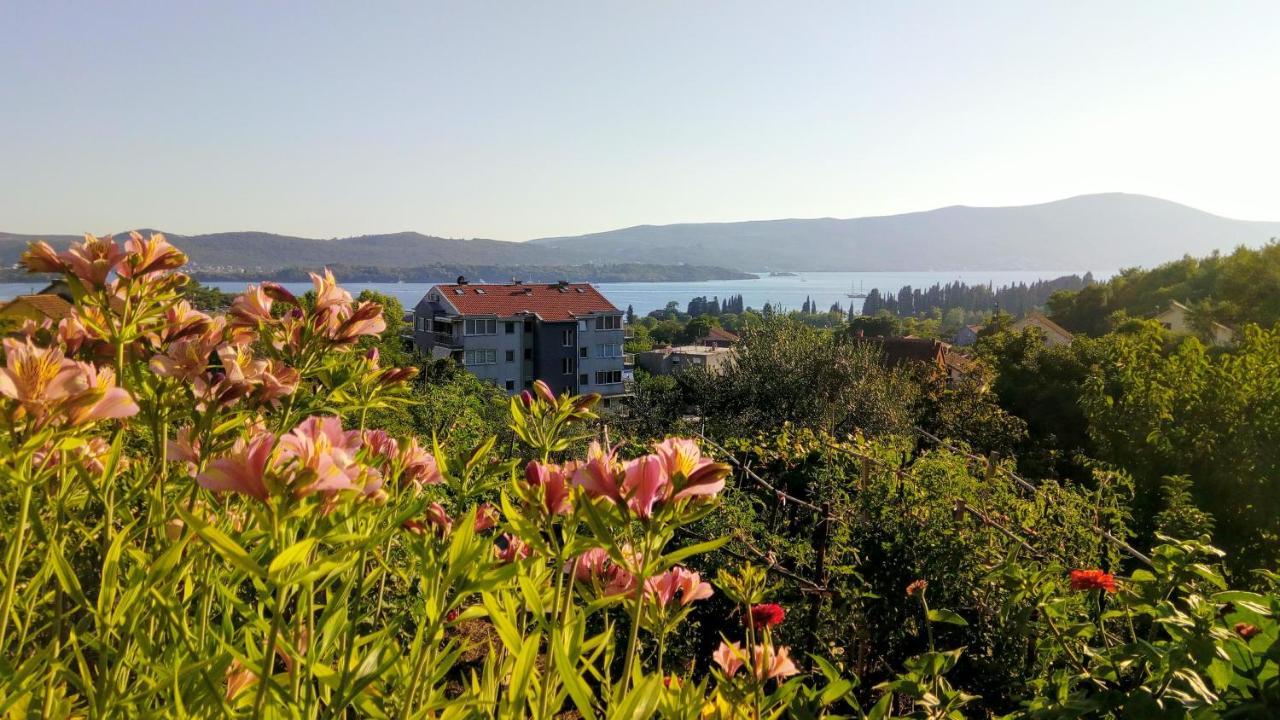Apartmani Bosco تيفات المظهر الخارجي الصورة