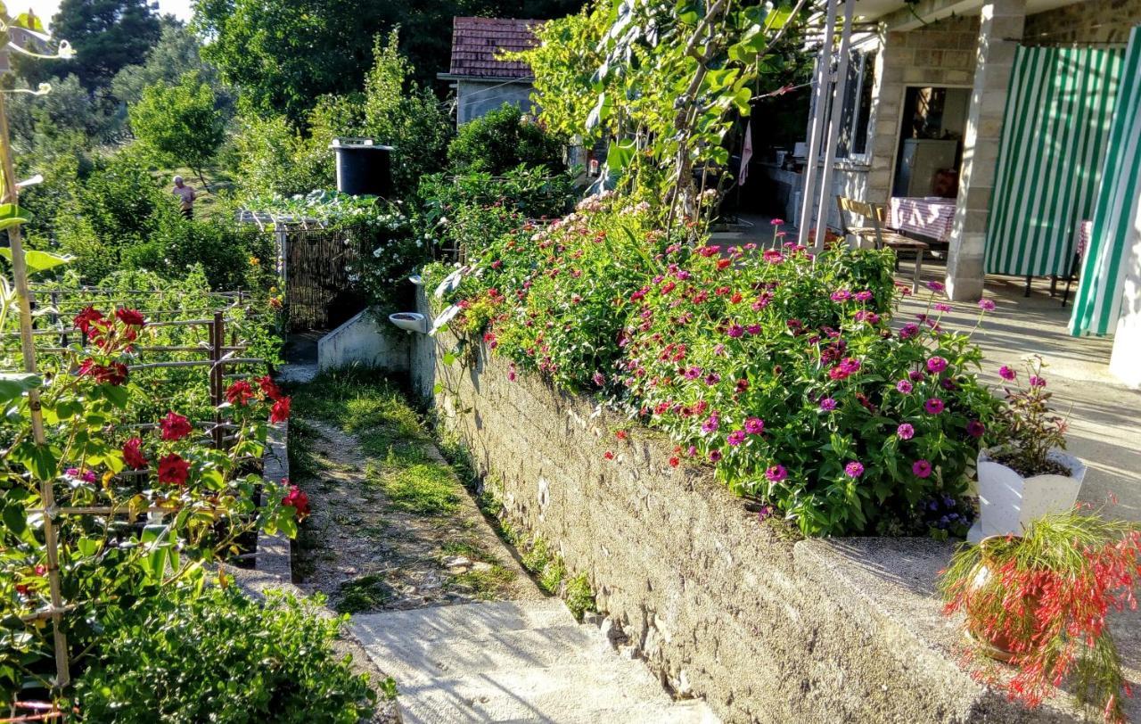 Apartmani Bosco تيفات المظهر الخارجي الصورة