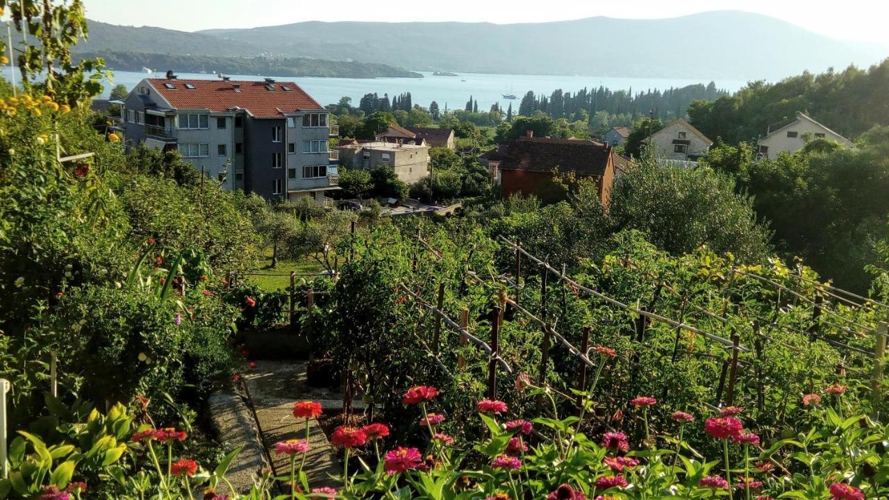 Apartmani Bosco تيفات المظهر الخارجي الصورة